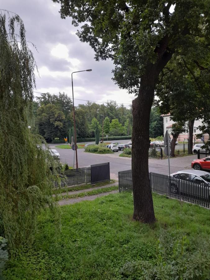 Mieszkanie Z Widokiem Na Park -Cieplice Slaskie Zdroj Διαμέρισμα Jelenia Góra Εξωτερικό φωτογραφία